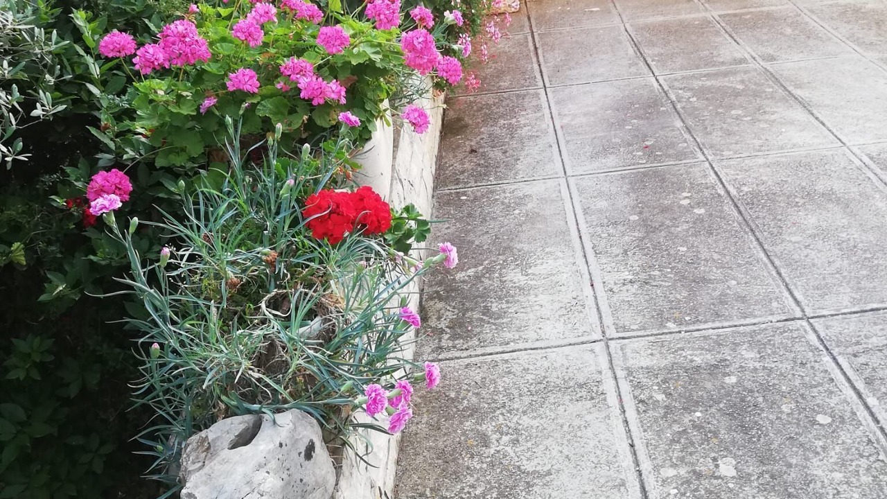 Photo of Outdoor in Poljana