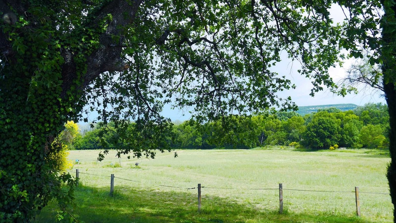 Photo of Outdoor in Valaurie