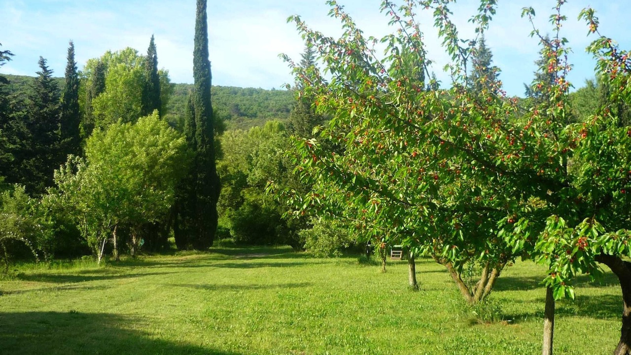 Photo of Outdoor in Valaurie