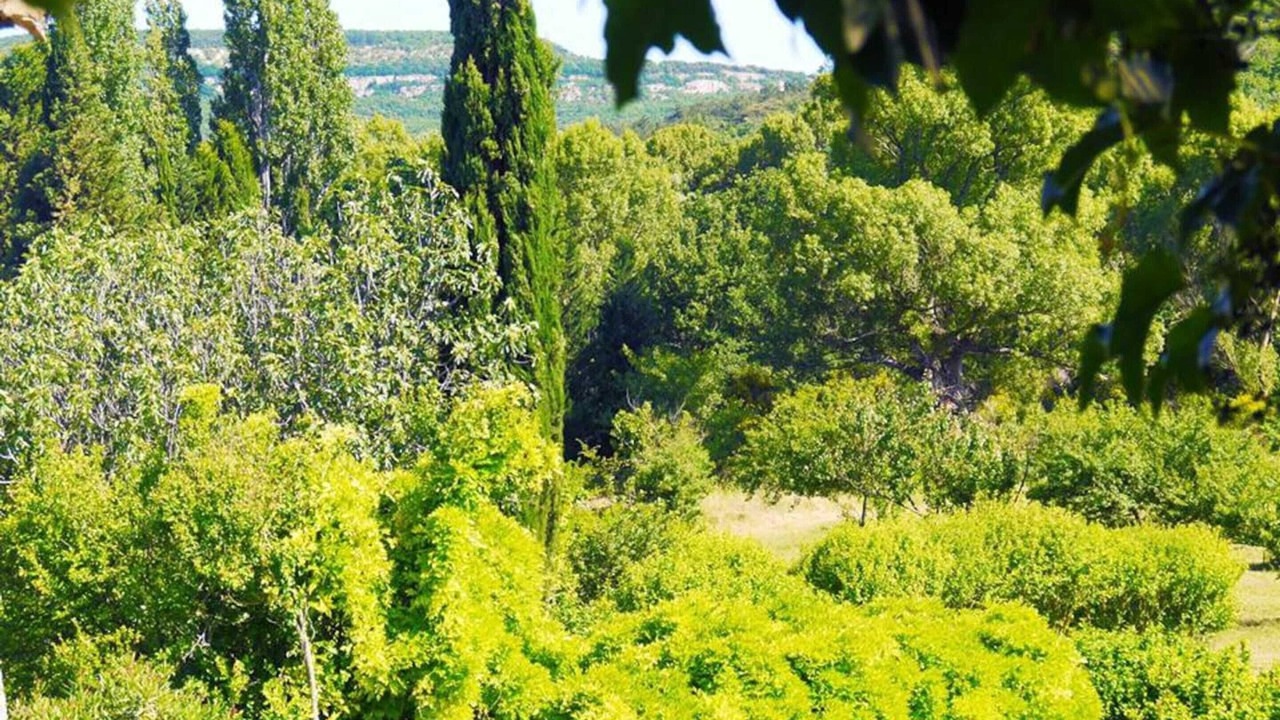 Photo of Outdoor in Valaurie