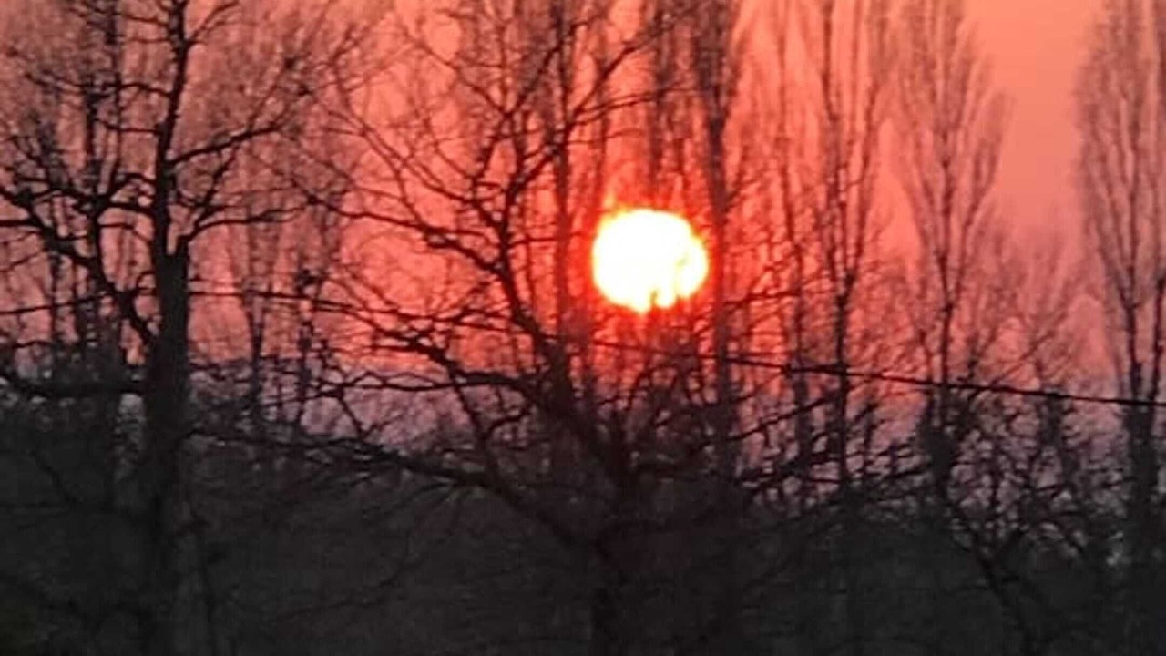 Photo of Others in Valaurie