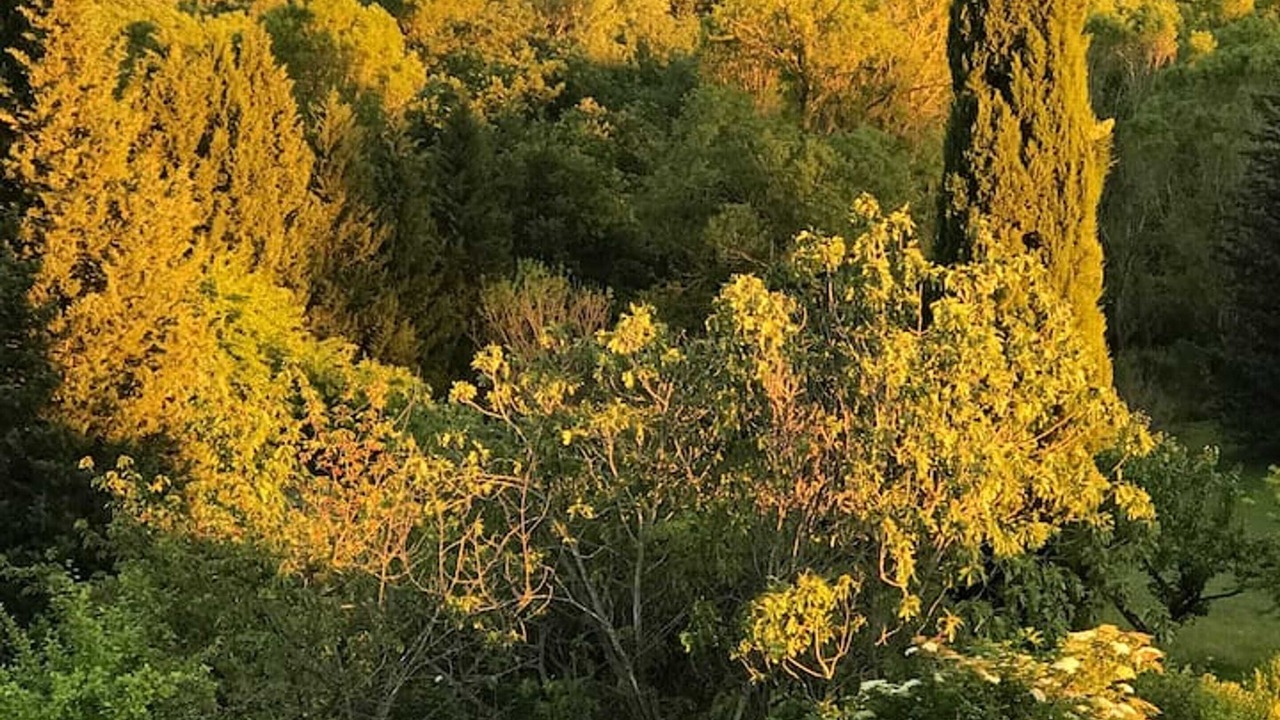 Photo of Outdoor in Valaurie