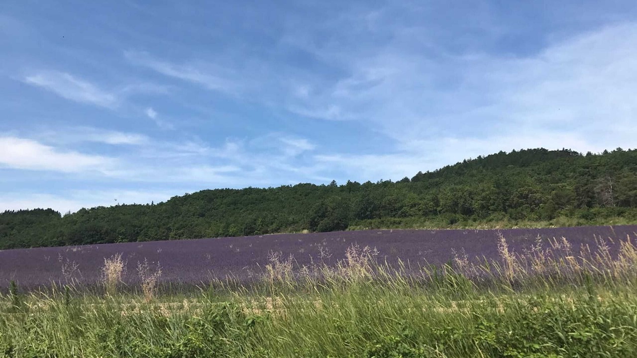 Photo of Outdoor in Valaurie