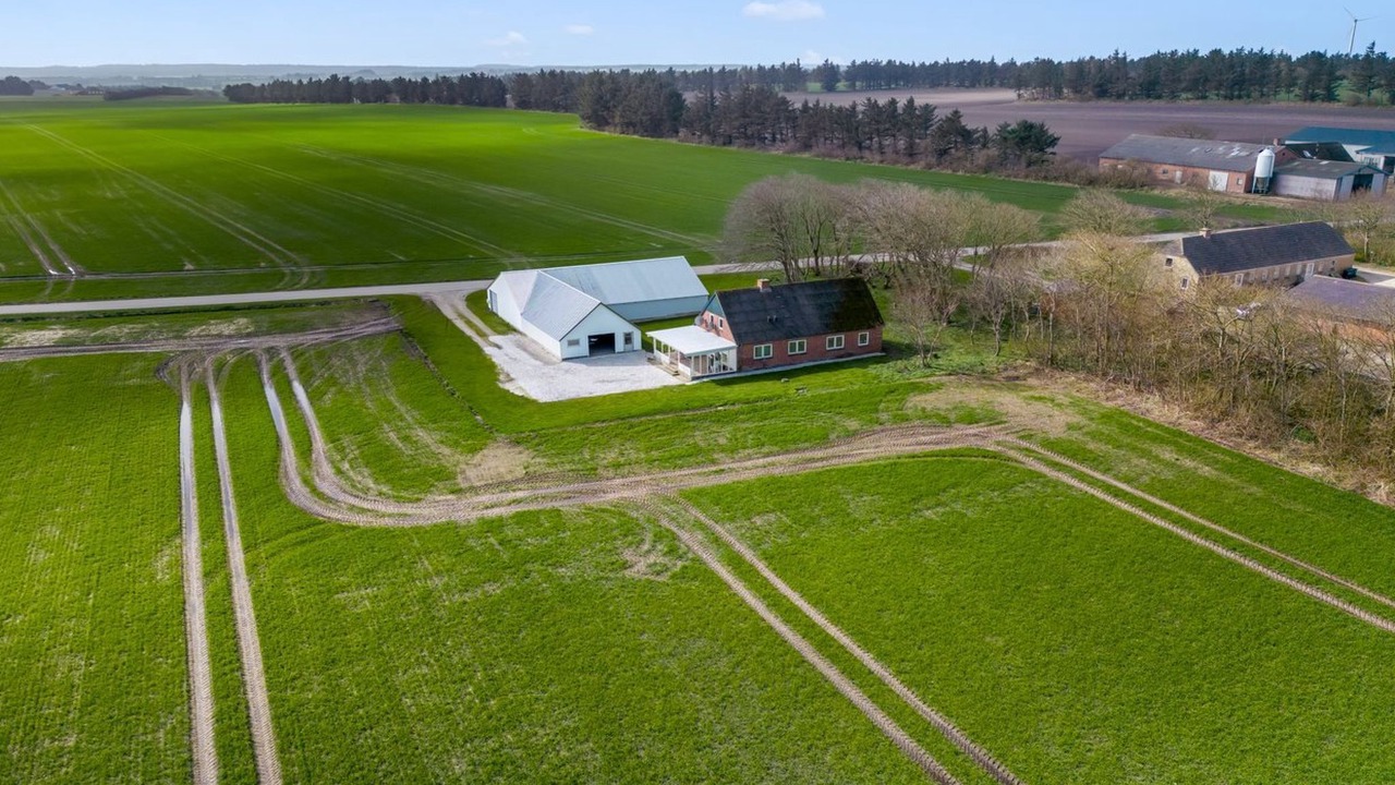 Photo of Others in Hanstholm