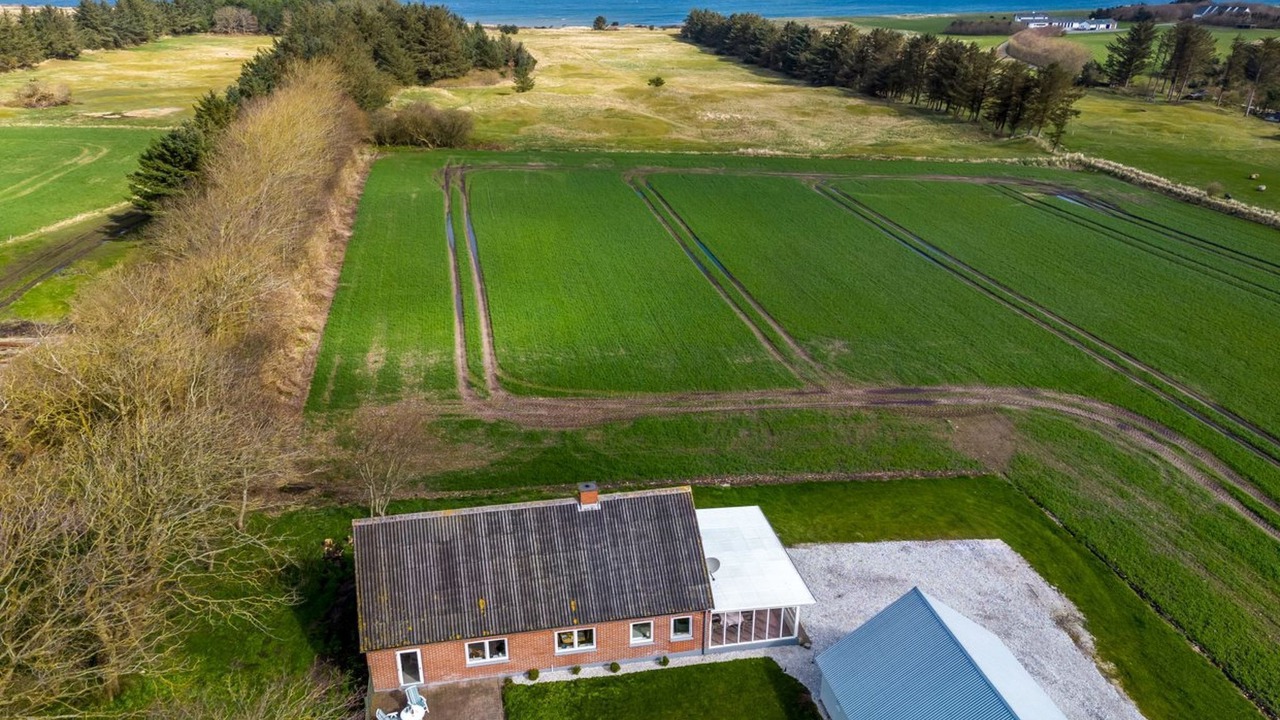 Photo of Others in Hanstholm