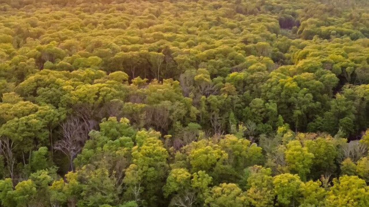 Photo of Others in Stone Ridge