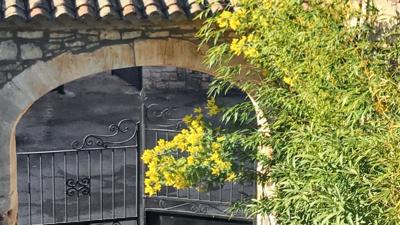 Photo of Outdoor in Orgnac-l'Aven