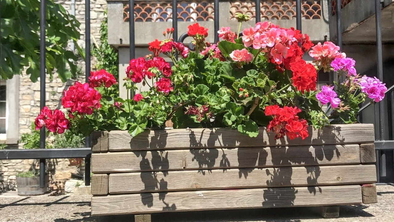 Photo of Outdoor in Orgnac-l'Aven