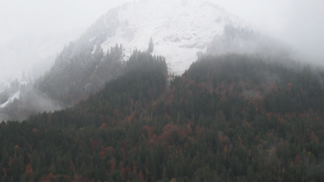 Photo of Others in Bernex