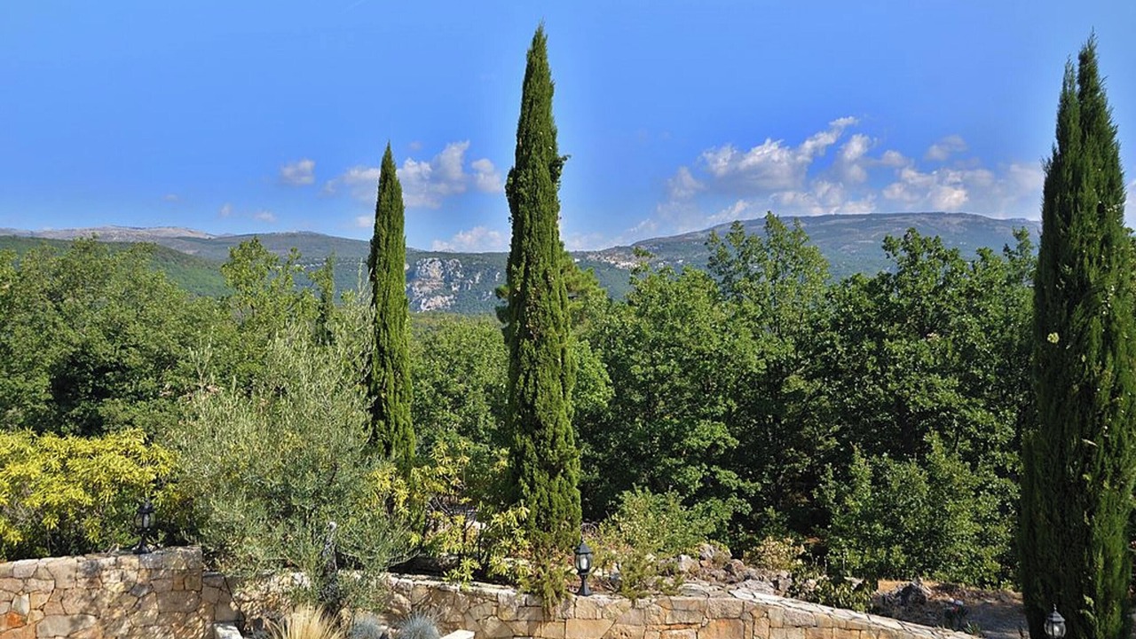 Photo of Others in Mons