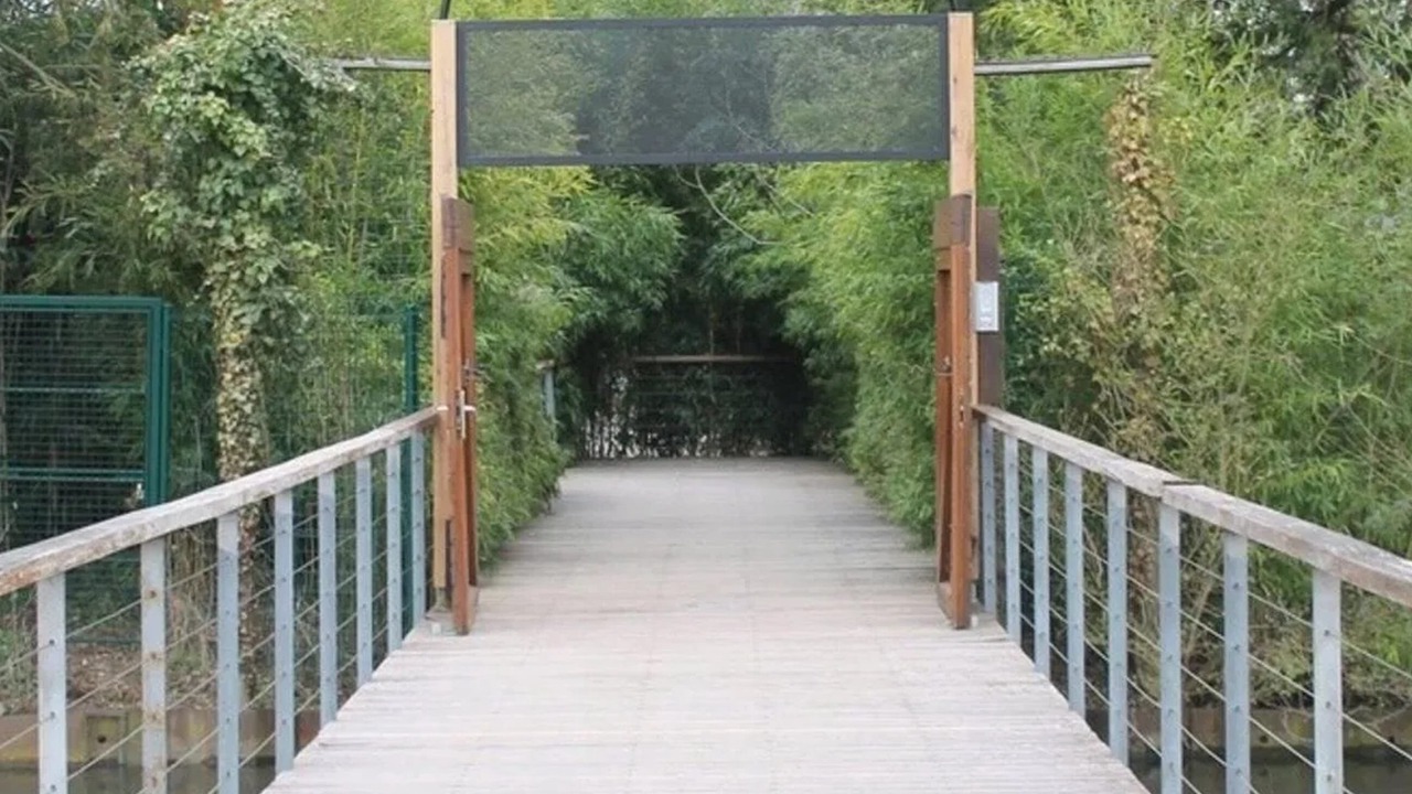 Photo of Others in Amiens