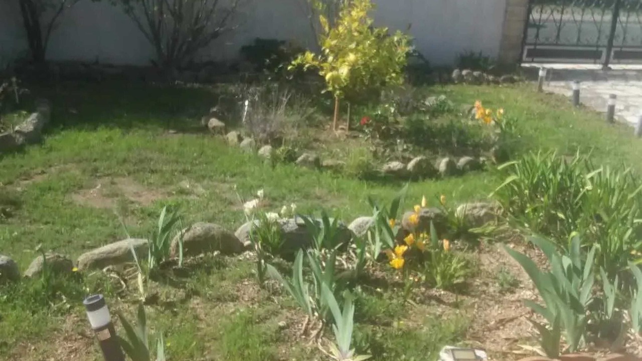 Photo of Outdoor in Sorede