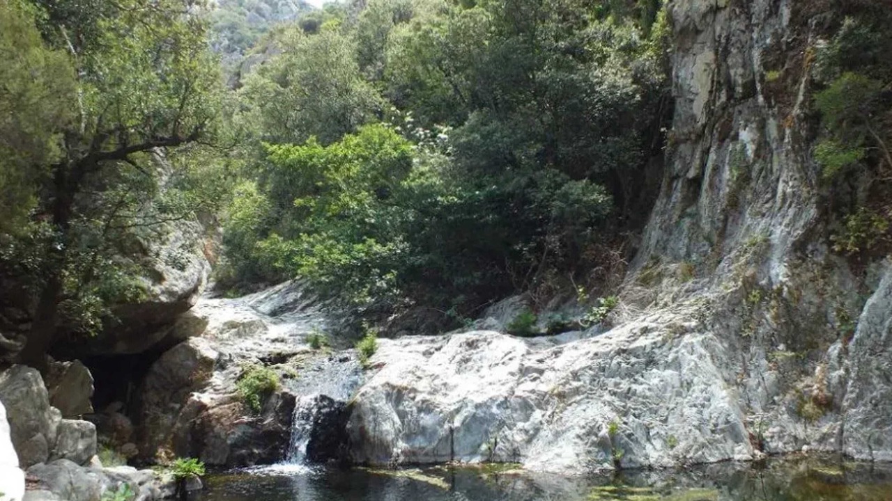 Photo of Others in Sorede