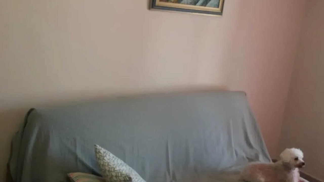 Photo of Others in Sorede