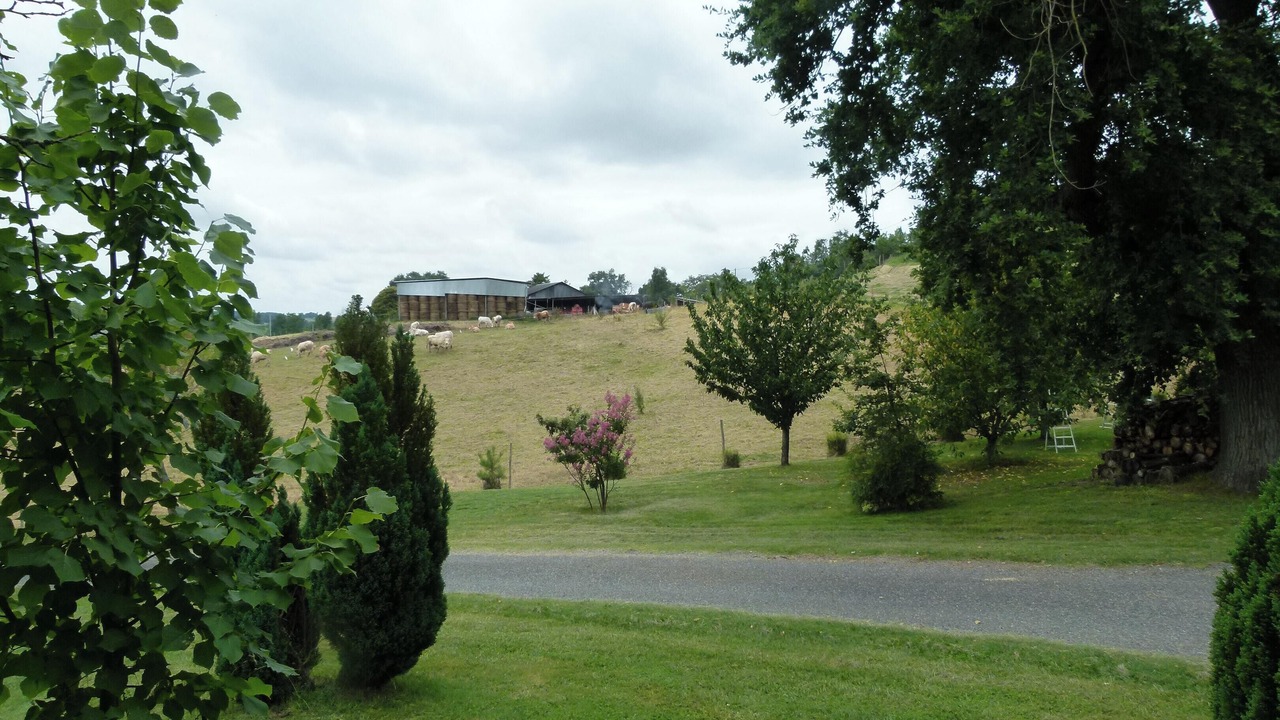 Photo of Outdoor in Ornezan