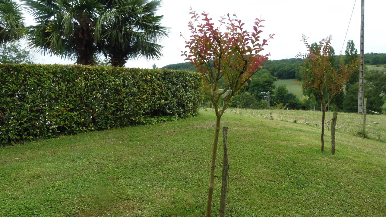 Photo of Outdoor in Ornezan