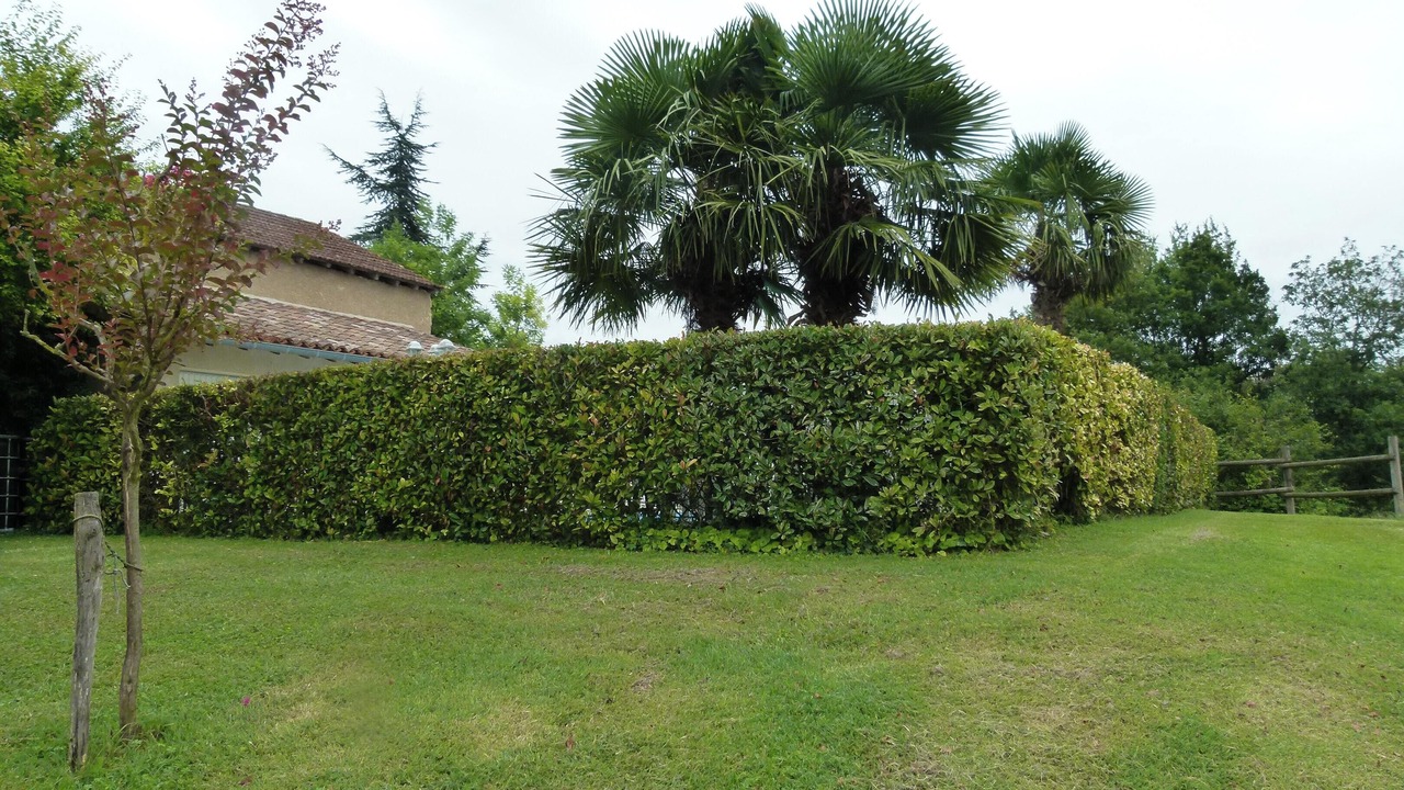 Photo of Outdoor in Ornezan