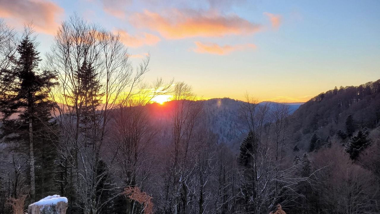 Photo of Others in Kruth