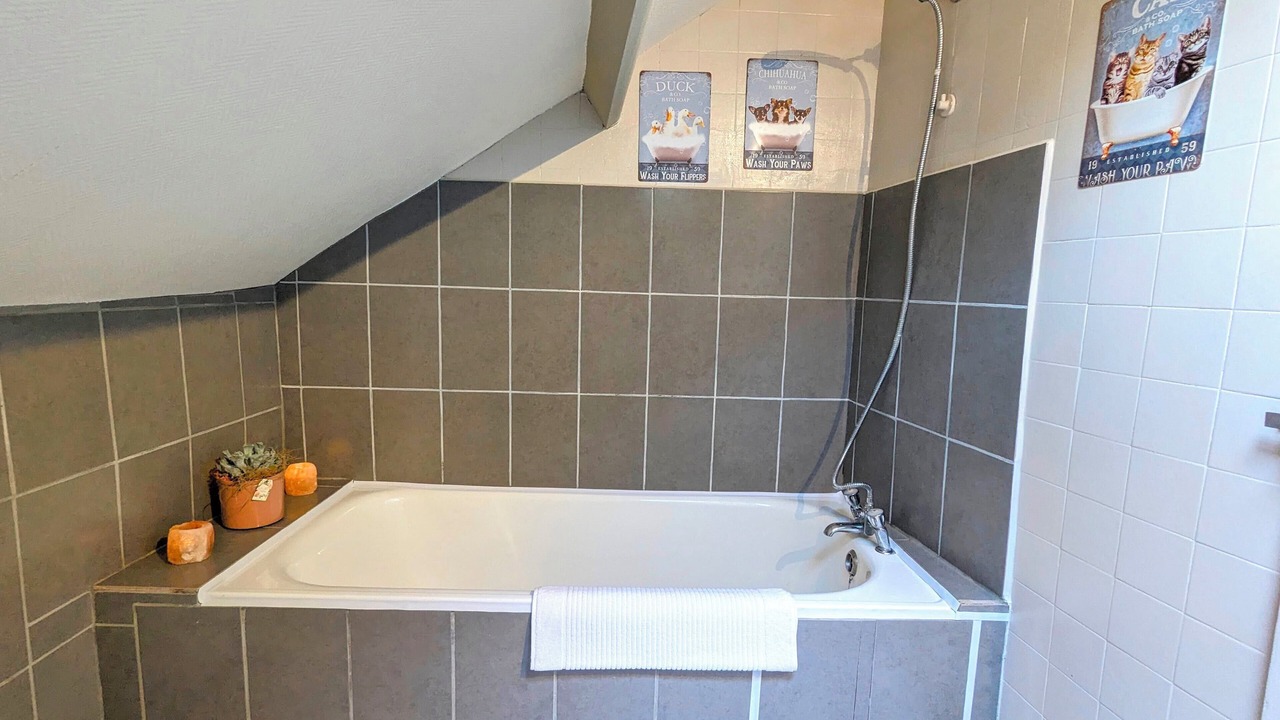 Photo of Bathroom in La Carneille