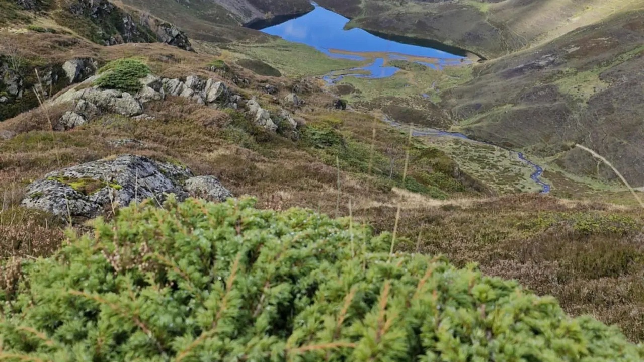 Photo of Others in Juncalas