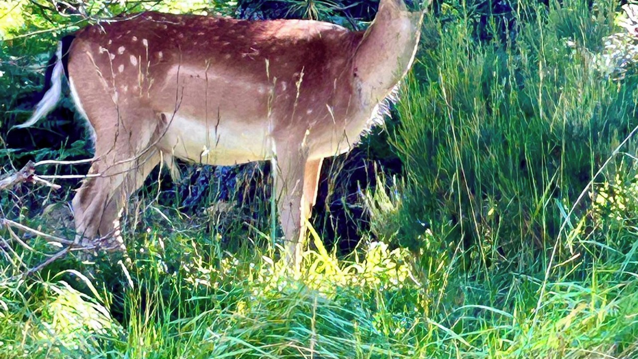 Photo of Outdoor in Camps-sur-l'Agly