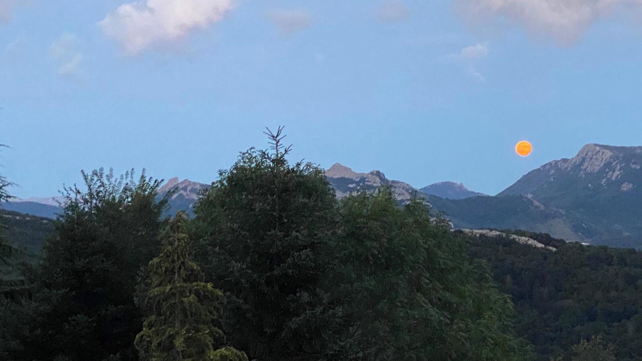 Photo of Others in Camps-sur-l'Agly