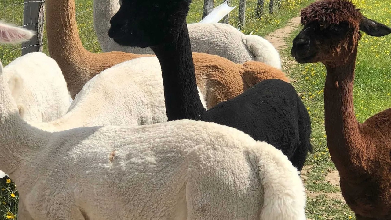 Photo of Outdoor in Clermont-Creans