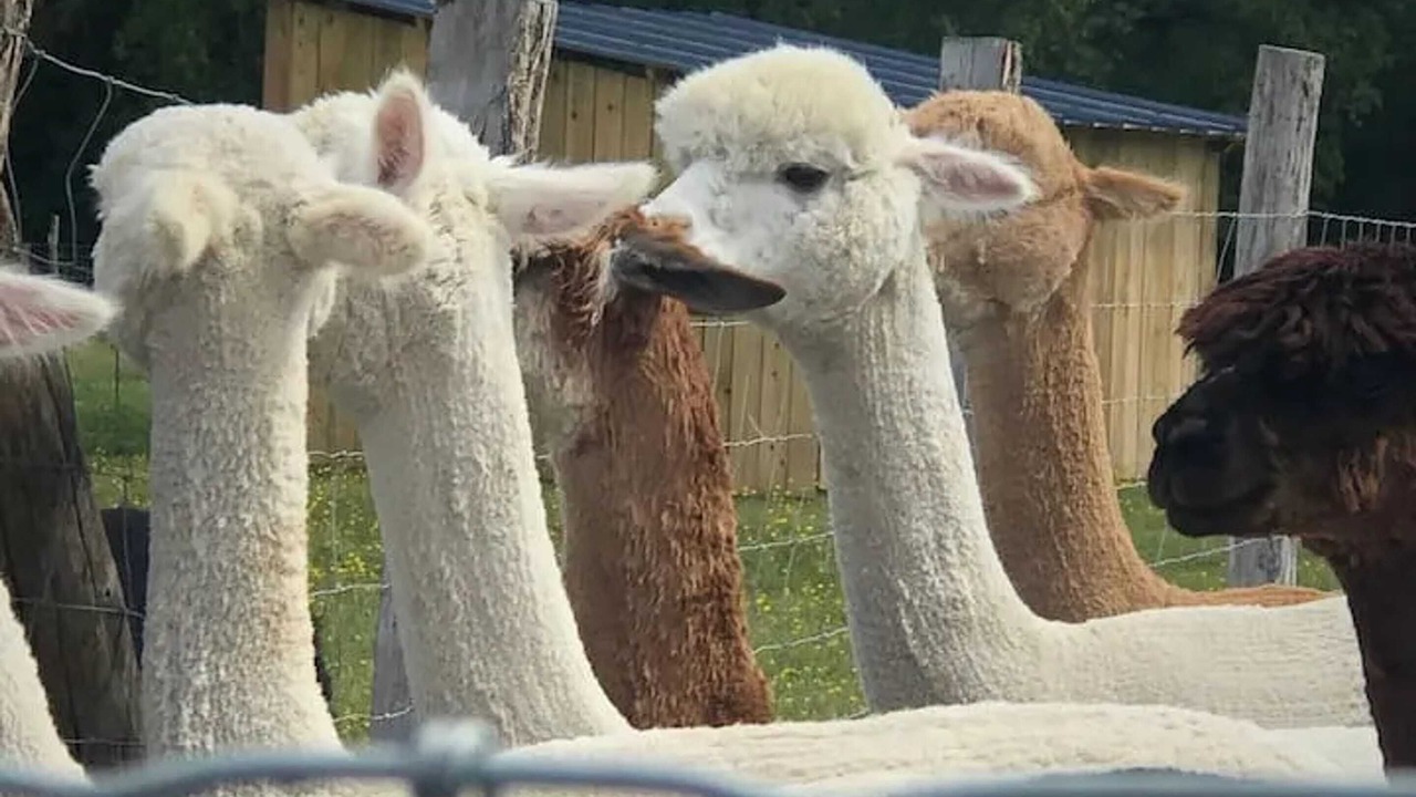 Photo of Outdoor in Clermont-Creans