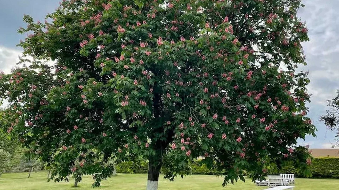 Photo of Outdoor in Saint-Hernin