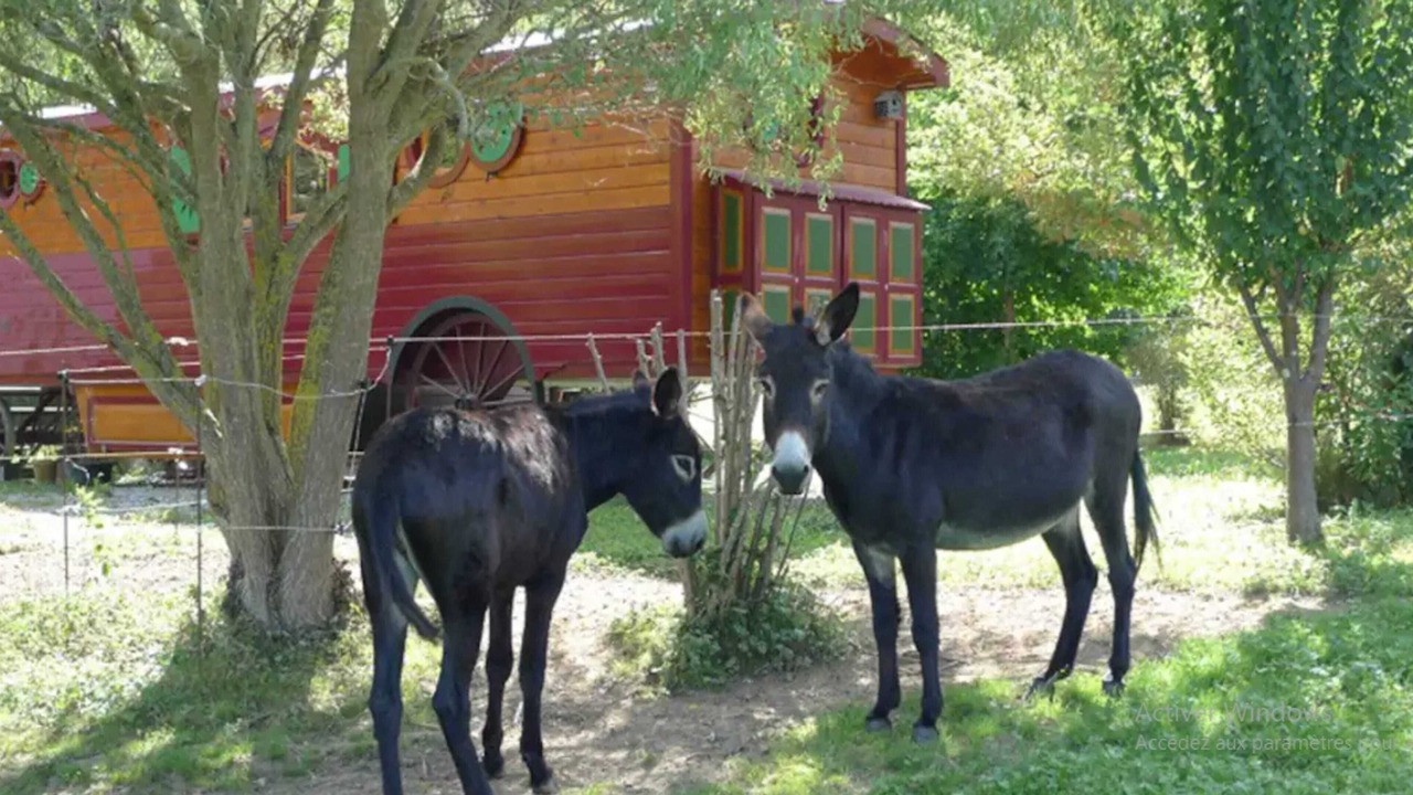 Photo of Outdoor in Sedeilhac