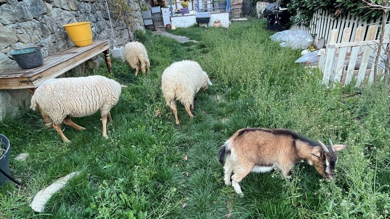 Photo of Outdoor in Lantosque