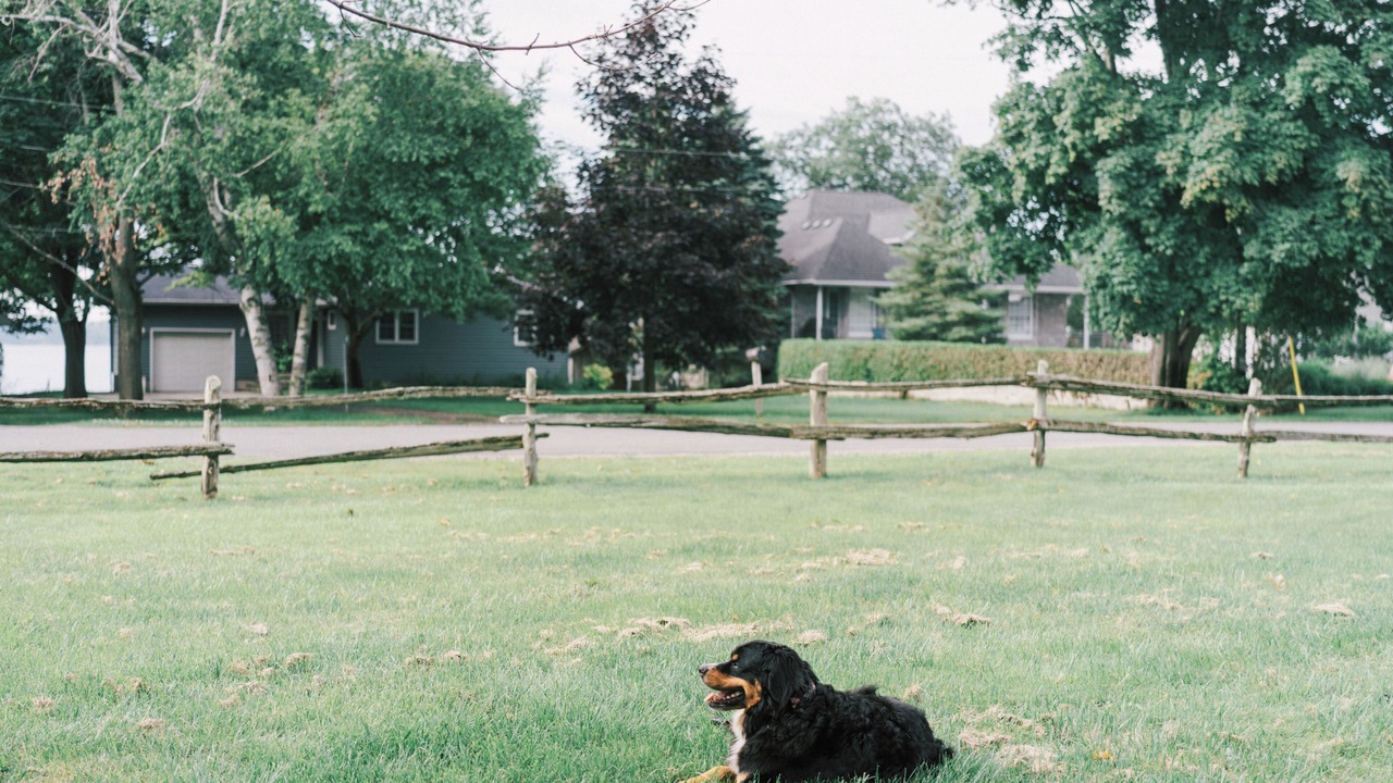 Photo of Outdoor in West Lake