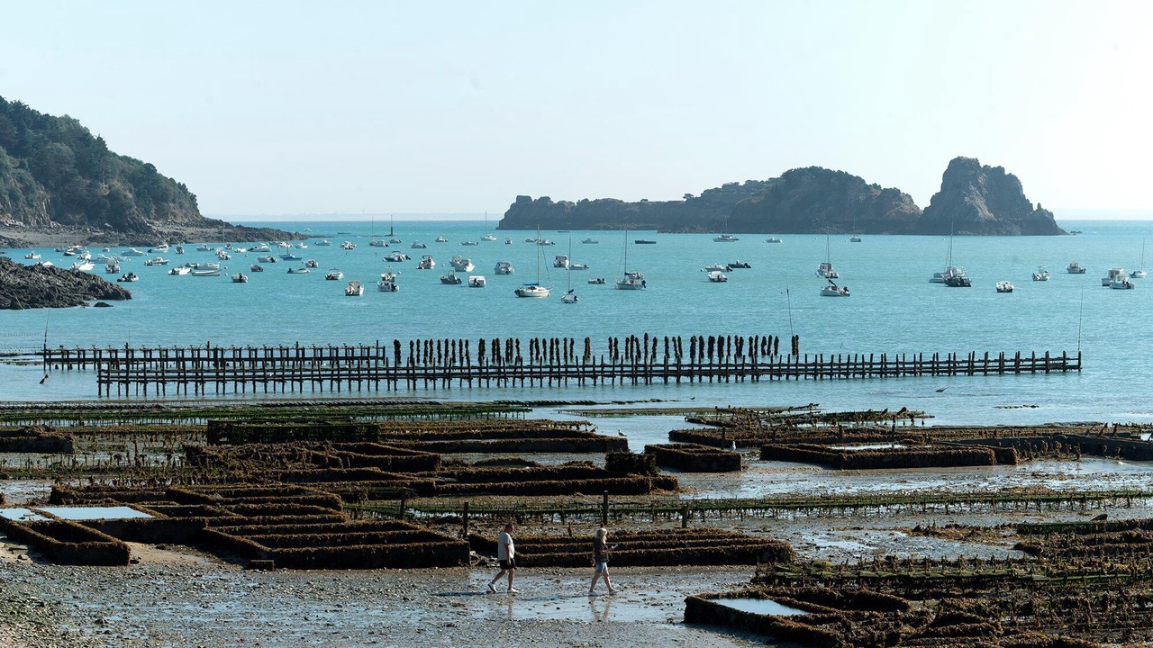 Photo of Outdoor in Cancale