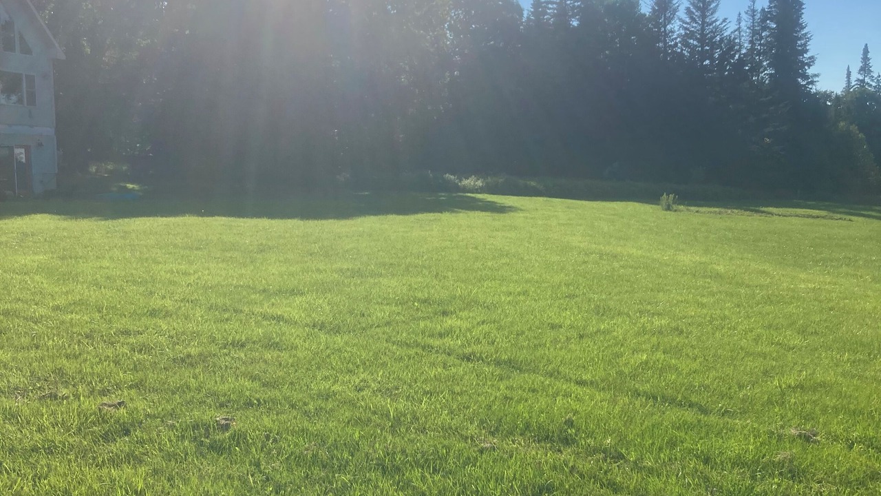 Photo of Outdoor in Orleans