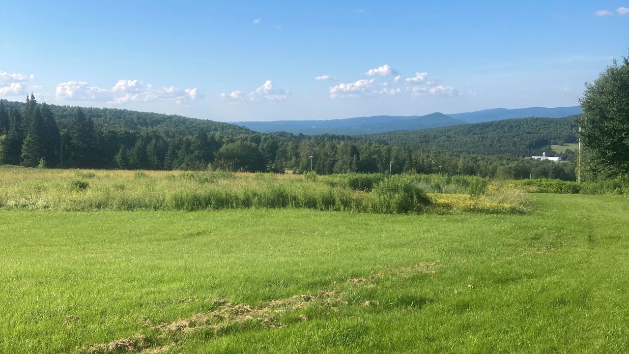 Photo of Others in Orleans