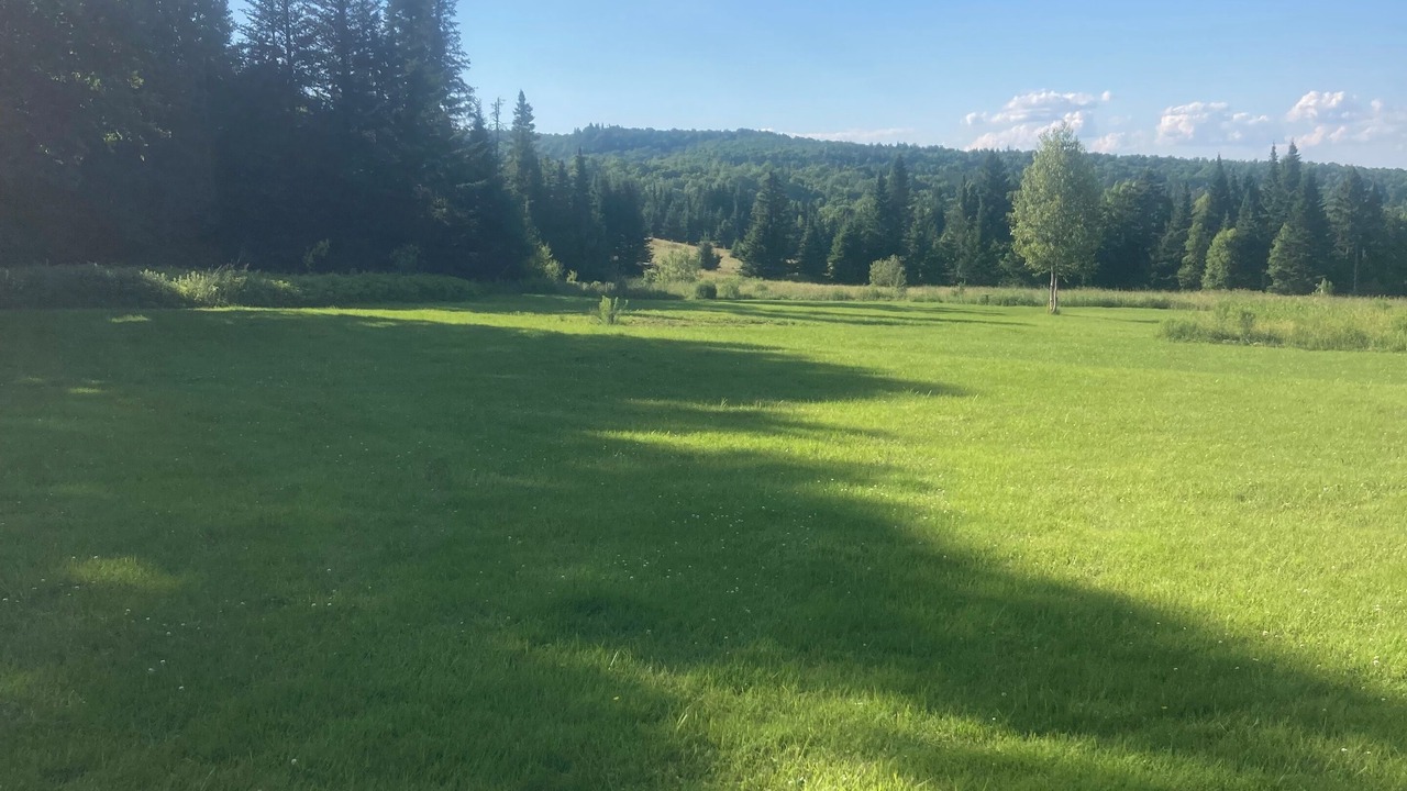 Photo of Others in Orleans