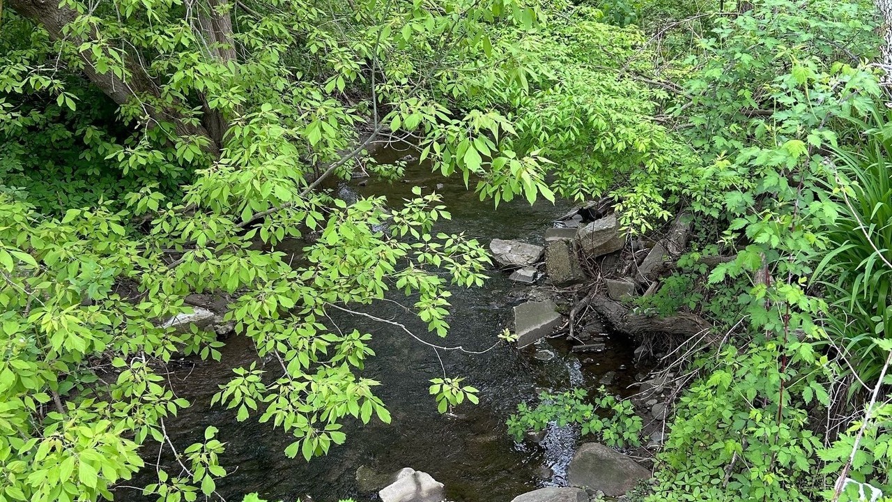 Photo of Outdoor in Cobourg