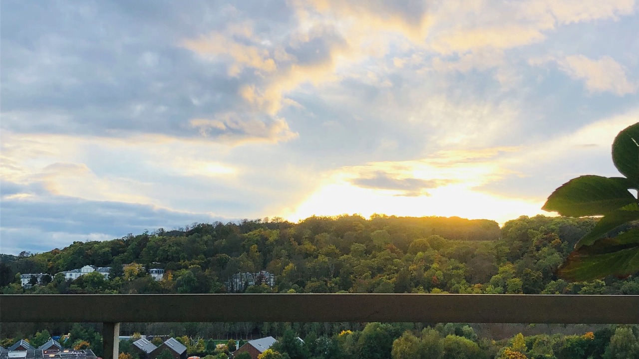 Photo of Outdoor in Saint-Cloud