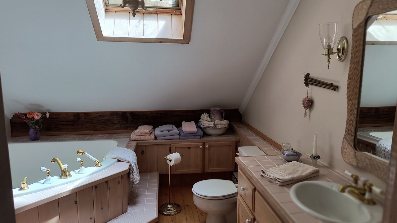 Photo of Bathroom in Lafontaine