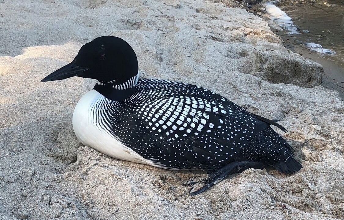 Photo of Others in Wakefield