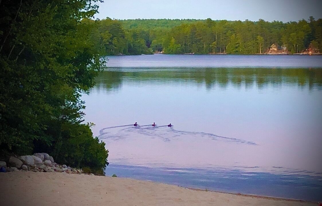 Photo of Others in Wakefield