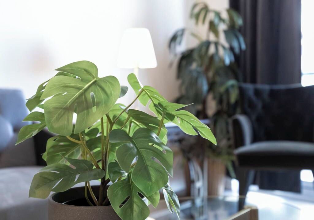 Photo of Livingroom in Hurontario