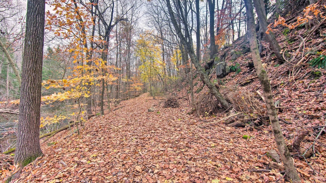 Photo of Outdoor in Dauphin