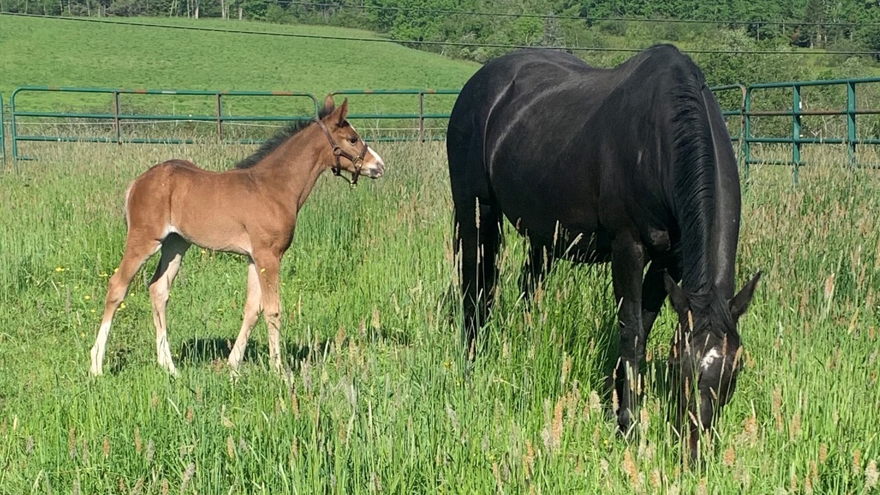 Photo of Outdoor in Lamoine