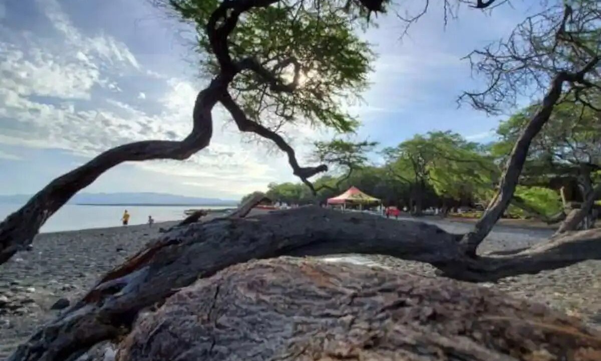 Photo of Others in Waikoloa Village