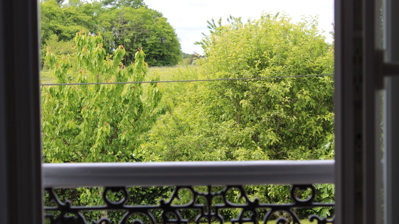 Photo of Others in Saint-Cesaire