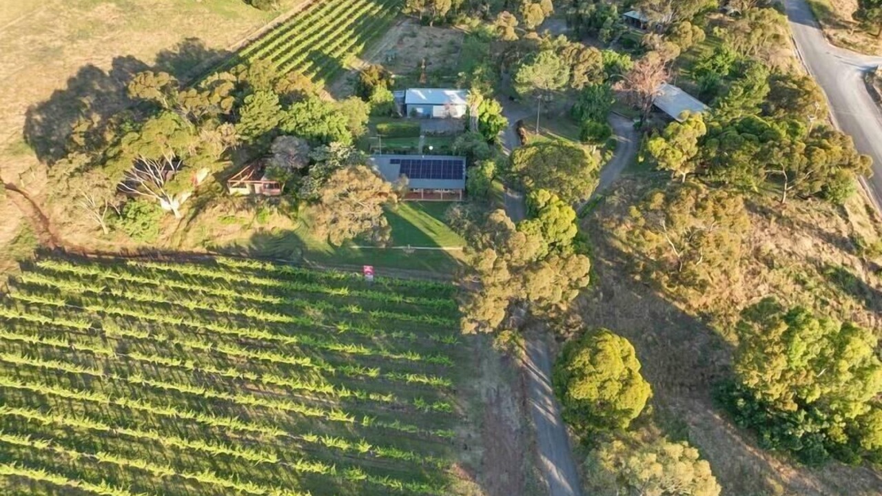 Photo of Outdoor in Bethany