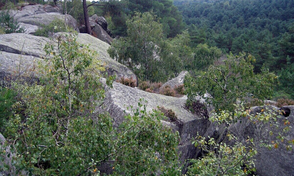 Photo of Outdoor in Samois-sur-Seine