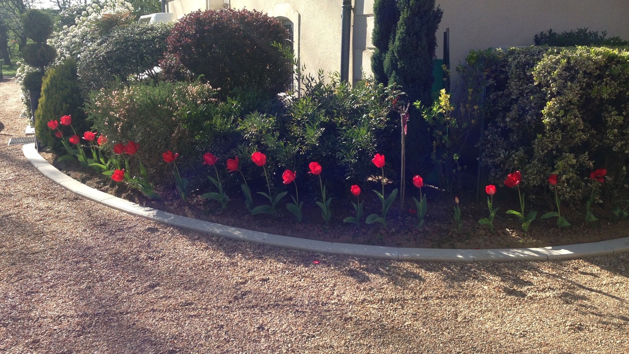 Photo of Outdoor in Saint-Pavace