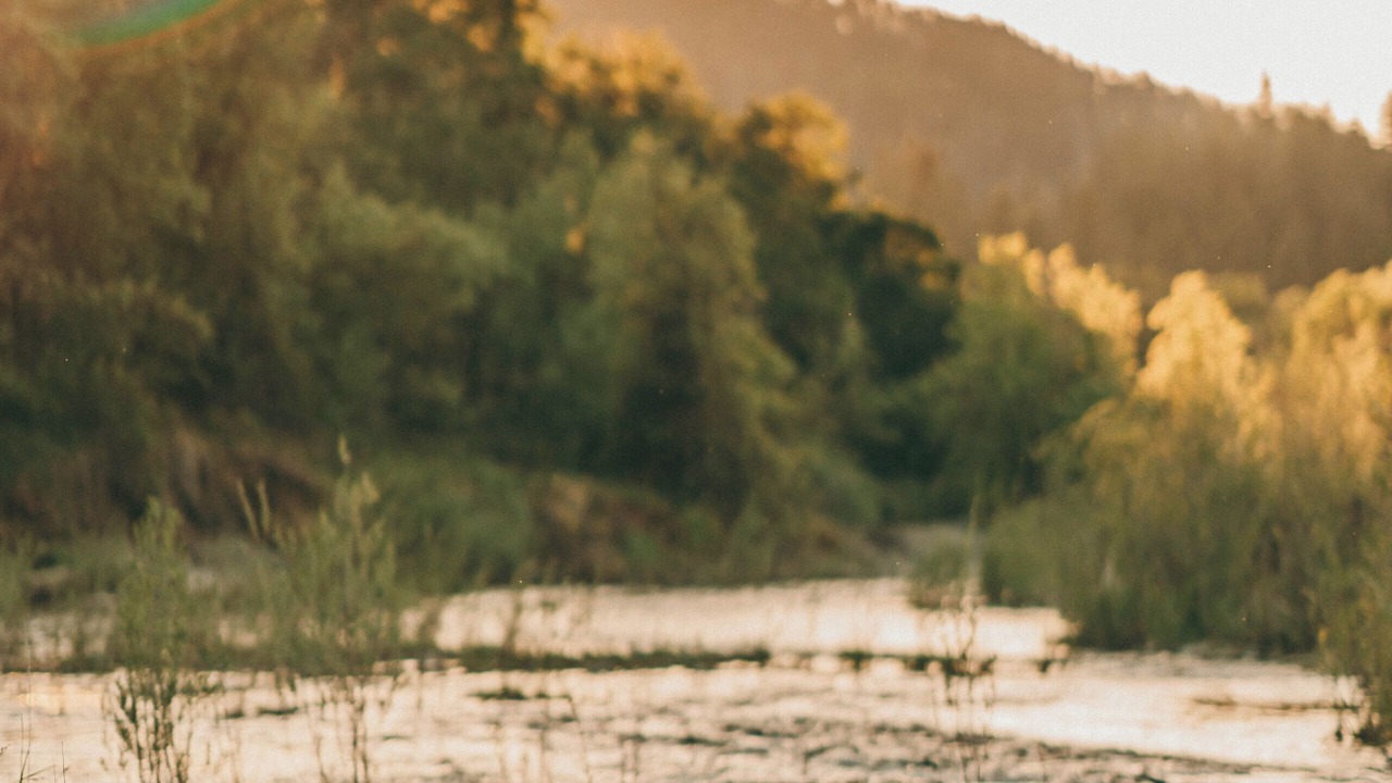 Photo of Others in Merlin